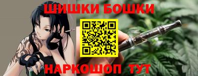 МДПВ Сланцы