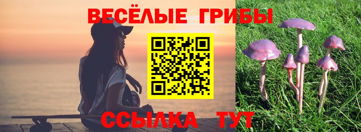 Галлюциногенные грибы ЛСД Приморско-Ахтарск