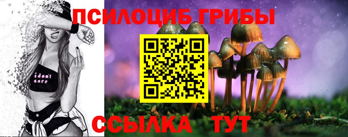 Приморско-Ахтарск  Галлюциногенные грибы Psilocybe  Вход с VPN  Псилоцибиновые грибы ЛСД 